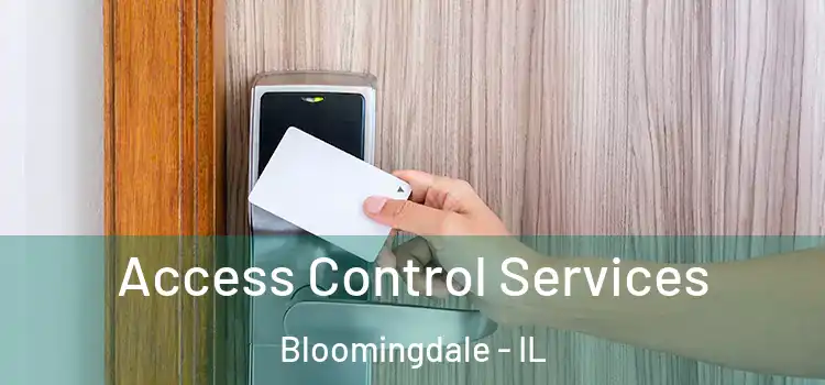 Access Control Services Bloomingdale - IL