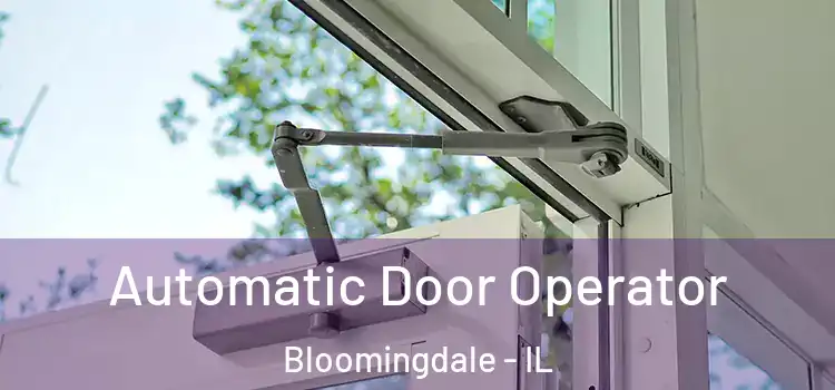 Automatic Door Operator Bloomingdale - IL