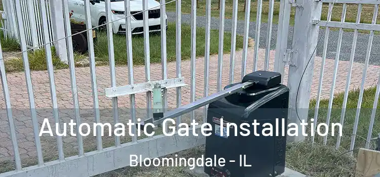 Automatic Gate Installation Bloomingdale - IL