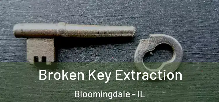  Broken Key Extraction Bloomingdale - IL
