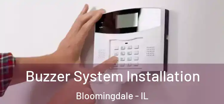 Buzzer System Installation Bloomingdale - IL