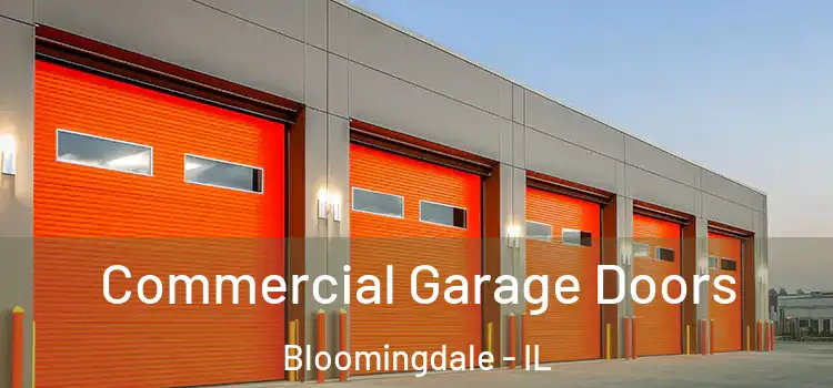  Commercial Garage Doors Bloomingdale - IL