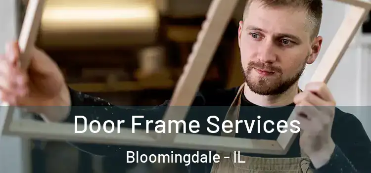  Door Frame Services Bloomingdale - IL