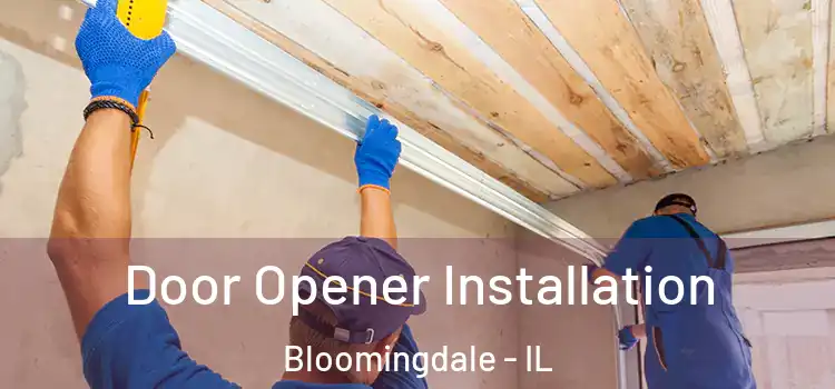 Door Opener Installation Bloomingdale - IL