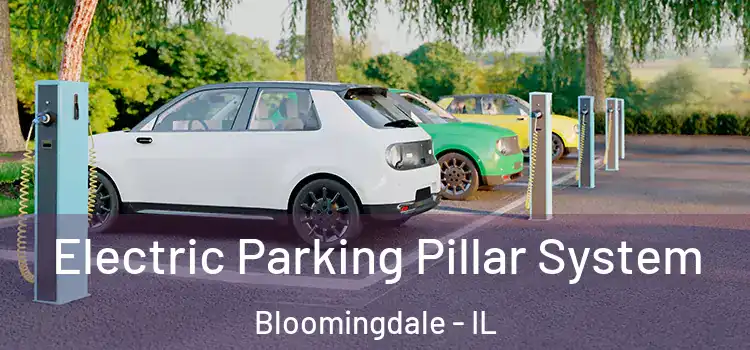 Electric Parking Pillar System Bloomingdale - IL