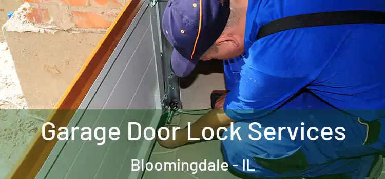 Garage Door Lock Services Bloomingdale - IL