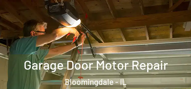  Garage Door Motor Repair Bloomingdale - IL