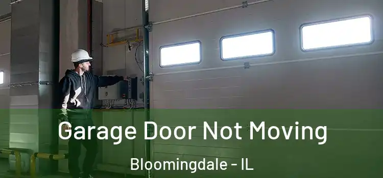  Garage Door Not Moving Bloomingdale - IL