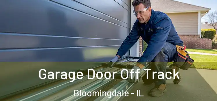  Garage Door Off Track Bloomingdale - IL