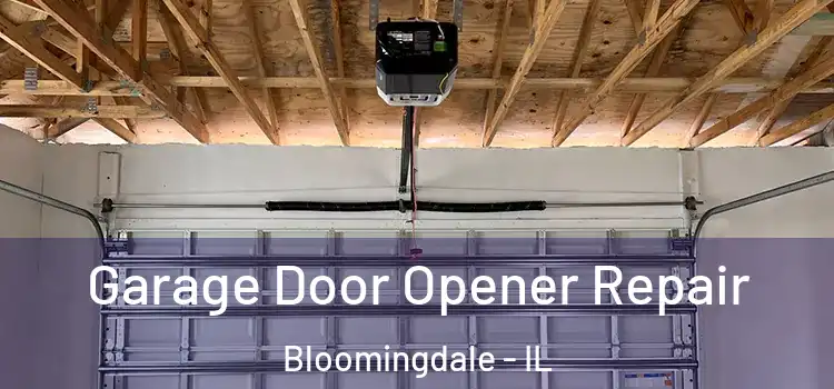  Garage Door Opener Repair Bloomingdale - IL
