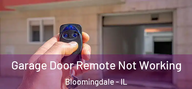  Garage Door Remote Not Working Bloomingdale - IL