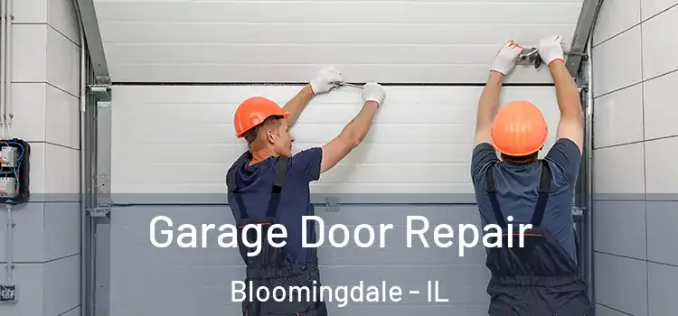  Garage Door Repair Bloomingdale - IL