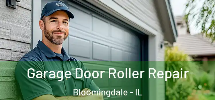  Garage Door Roller Repair Bloomingdale - IL