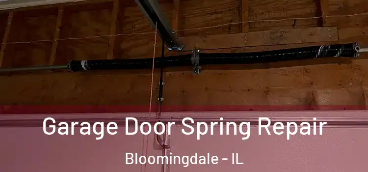  Garage Door Spring Repair Bloomingdale - IL