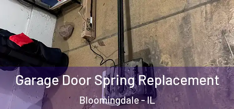 Garage Door Spring Replacement Bloomingdale - IL
