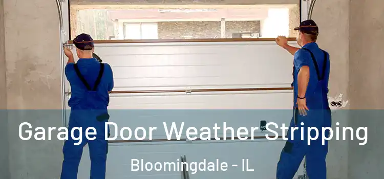  Garage Door Weather Stripping Bloomingdale - IL