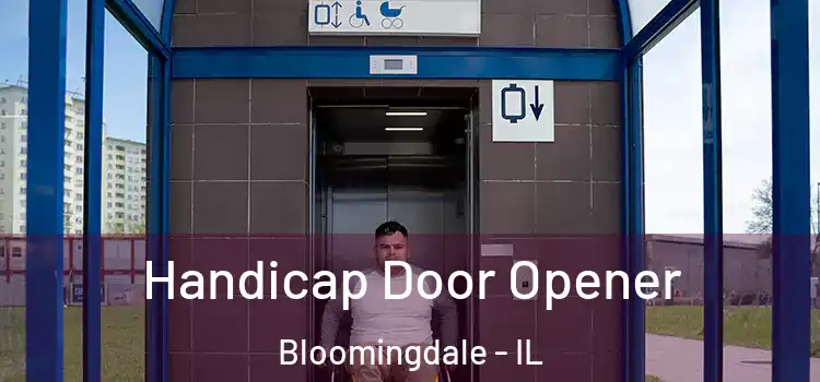  Handicap Door Opener Bloomingdale - IL