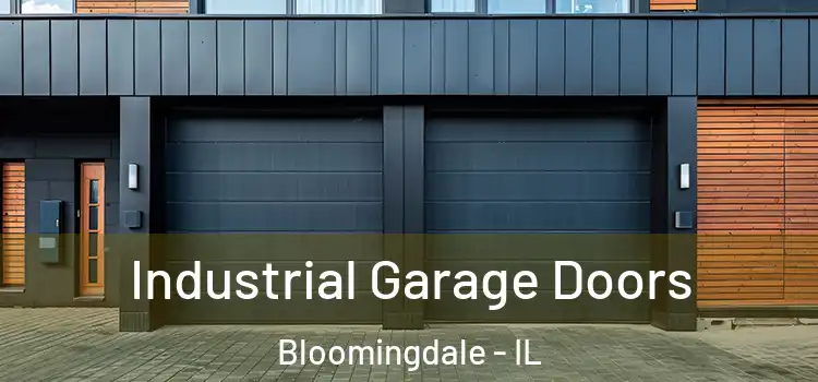  Industrial Garage Doors Bloomingdale - IL