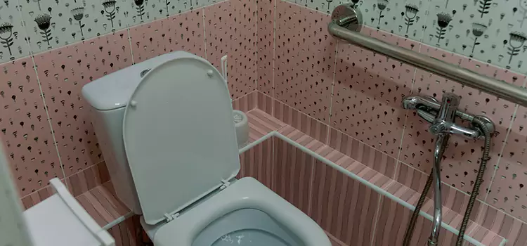 Meeting Diverse Needs With Accessible Restroom Solutions in Bloomingdale, IL