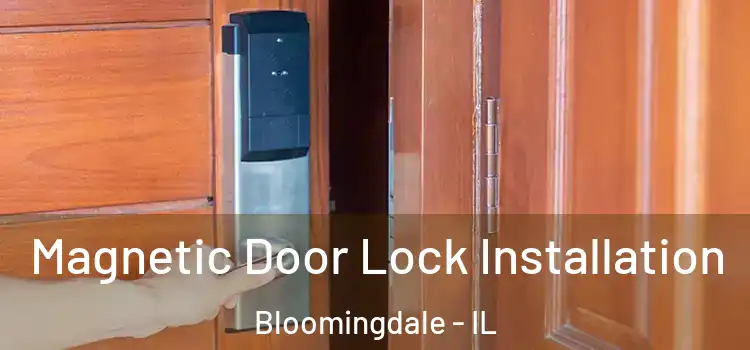  Magnetic Door Lock Installation Bloomingdale - IL