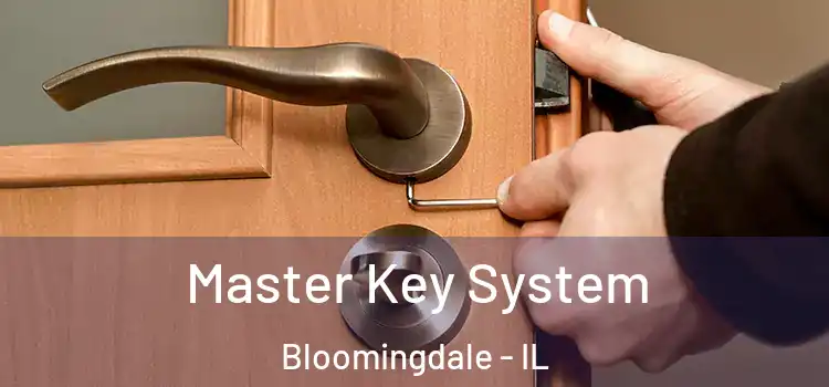 Master Key System Bloomingdale - IL