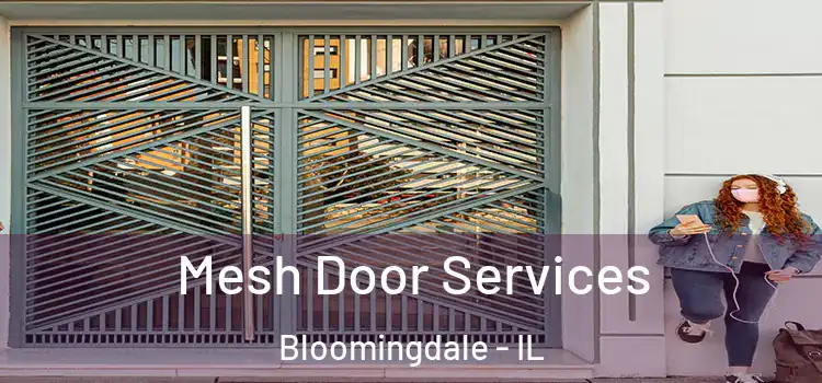  Mesh Door Services Bloomingdale - IL