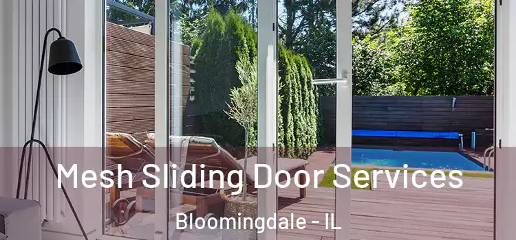 Mesh Sliding Door Services Bloomingdale - IL
