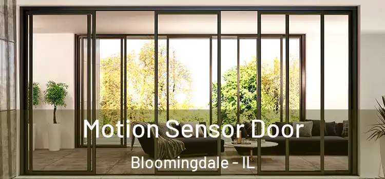 Motion Sensor Door Bloomingdale - IL