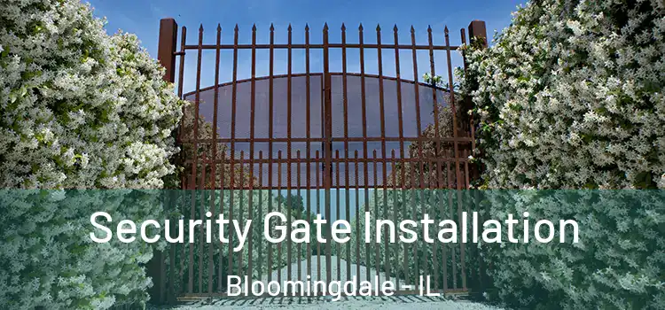 Security Gate Installation Bloomingdale - IL