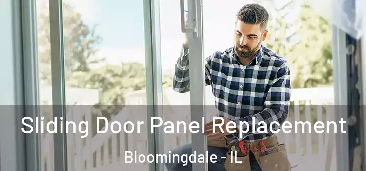  Sliding Door Panel Replacement Bloomingdale - IL