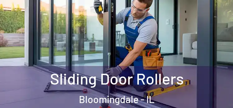  Sliding Door Rollers Bloomingdale - IL