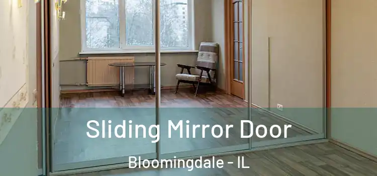  Sliding Mirror Door Bloomingdale - IL