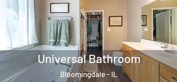  Universal Bathroom Bloomingdale - IL